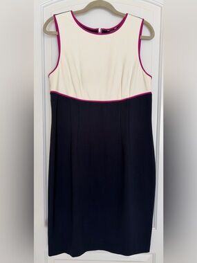 Ann Taylor Color-block Mod Shift Dress Navy Ivory Pink